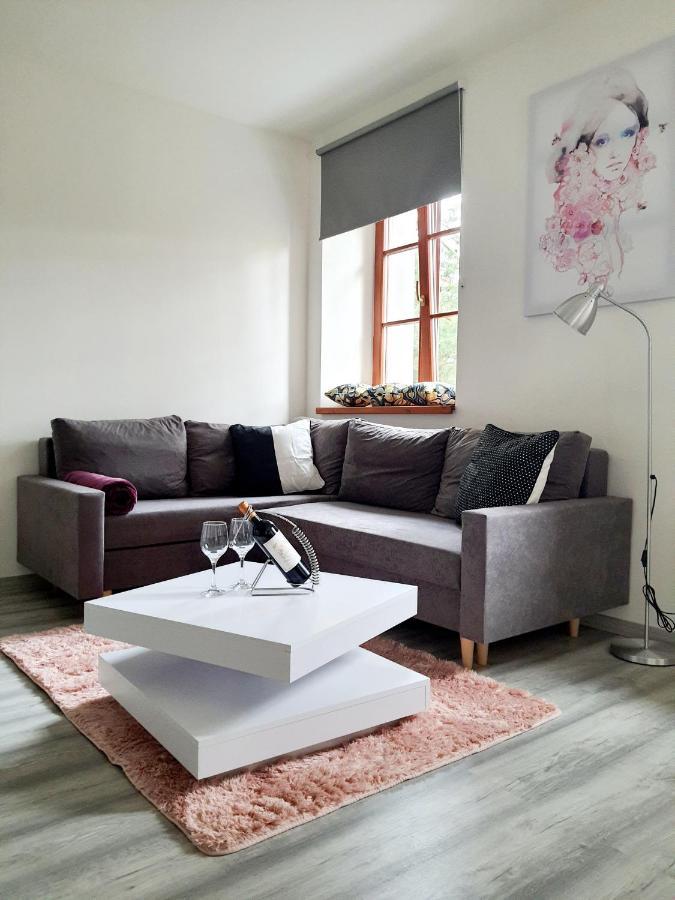 Apartman Spalovka Nový Bor Exteriör bild