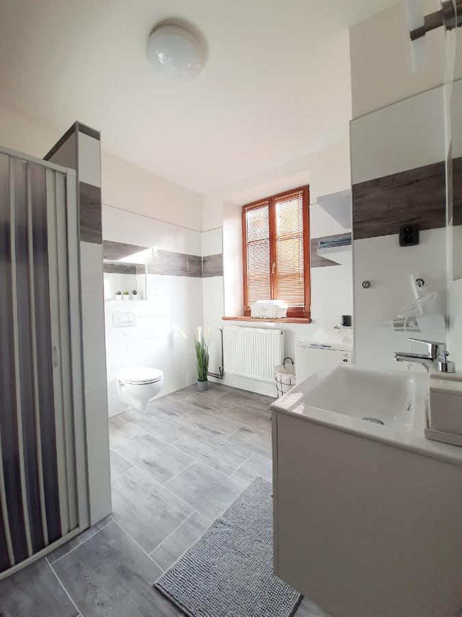 Apartman Spalovka Nový Bor Exteriör bild